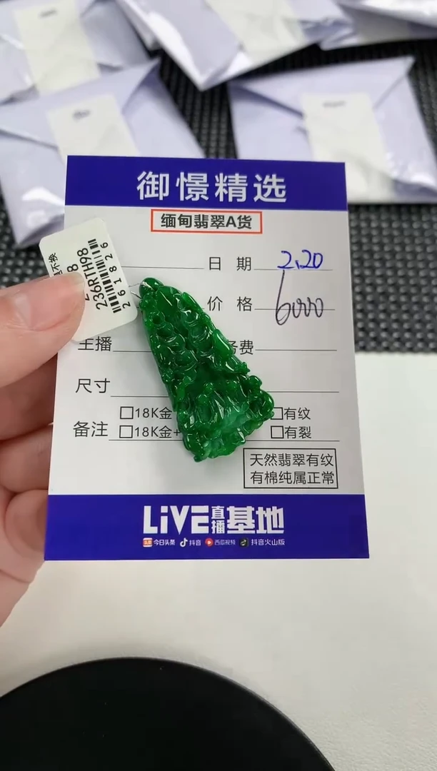 【闪购商品】翡翠颈饰未镶嵌73