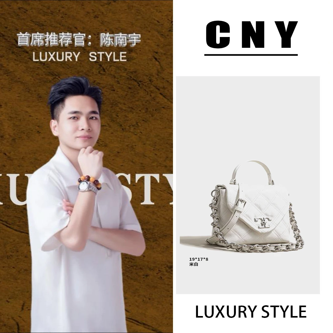 【全球仓】(B235)银枪色轻奢女士时尚潮流通勤腋下斜挎包