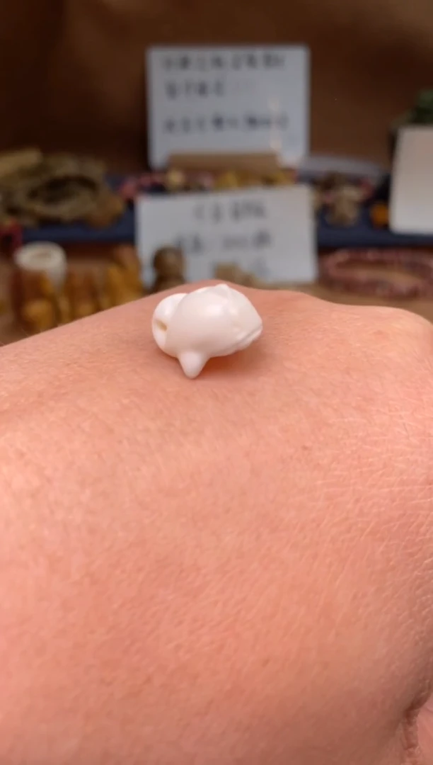 【闪购商品】牛骨其他P533-鲨鱼帽-有棕裂