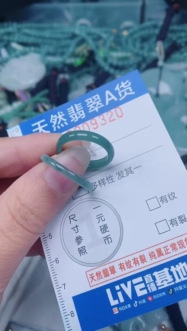 颈饰未镶嵌翡翠00009320