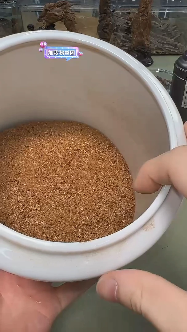 柬埔寨菩萨棋黄金卷1g装