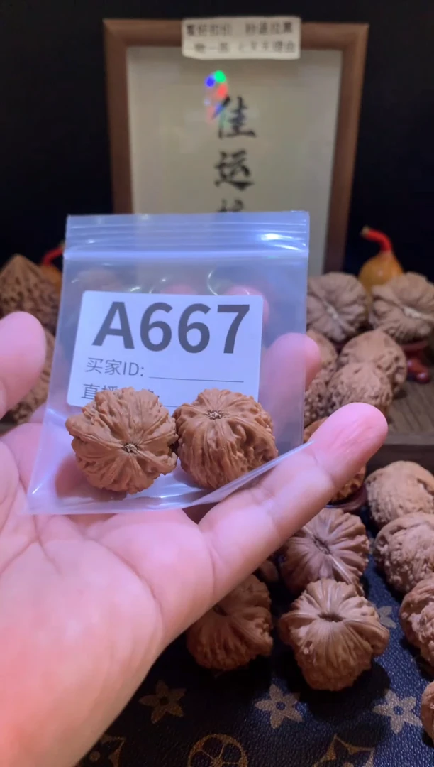 把件文玩核桃龙珠32尺