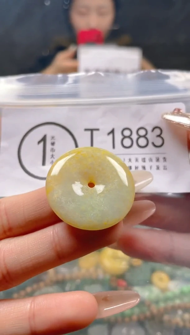 【闪购商品】翡翠颈饰未镶嵌/T/翡翠A货一图一物