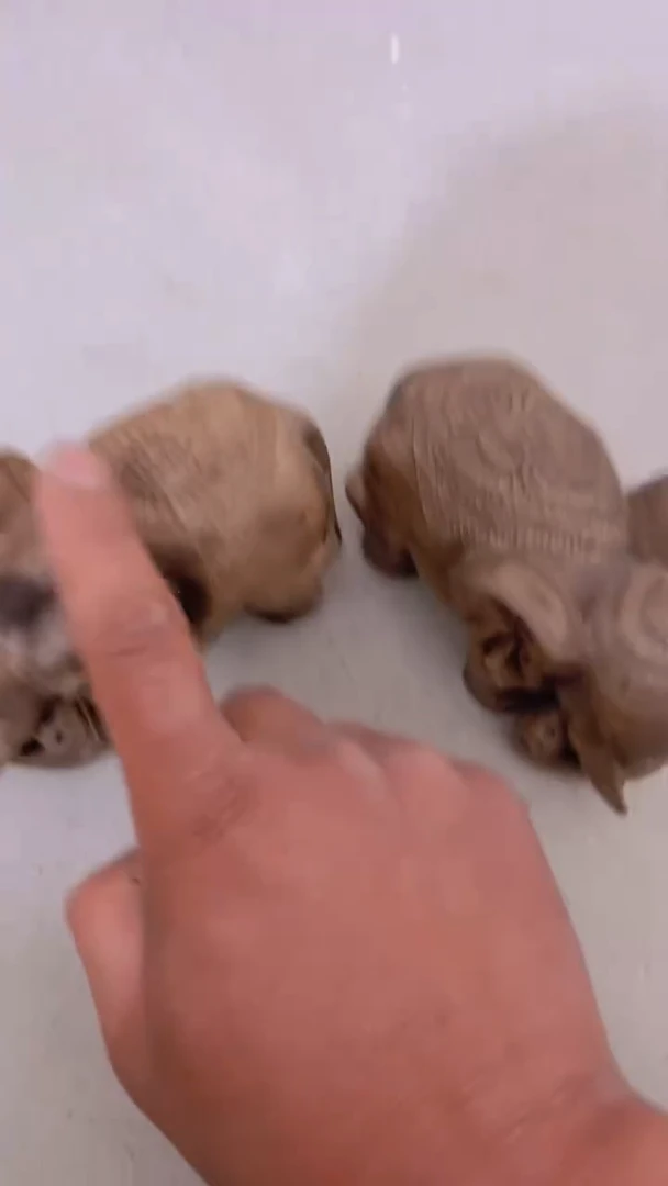 【闪购商品】金刚菩提吊坠精品菩提精品菩提