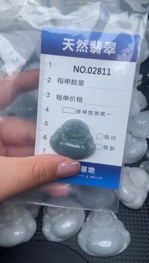 颈饰未镶嵌翡翠纯天然A货翡翠2811