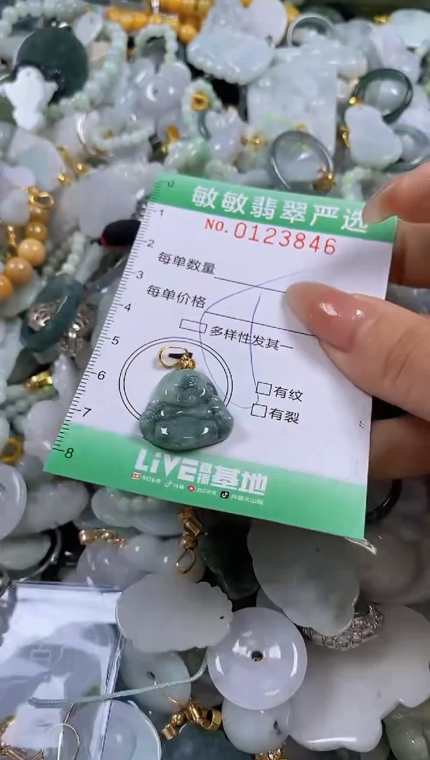 【闪购商品】翡翠颈饰未镶嵌闪购0123846