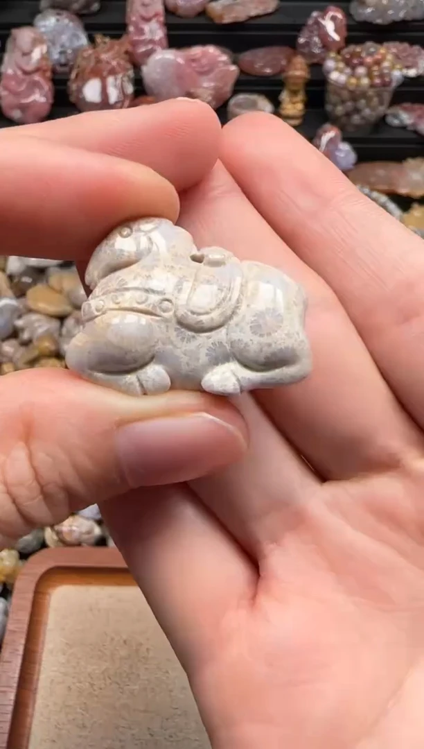 【闪购商品】硅化珊瑚（珊瑚玉）颈饰未镶嵌489