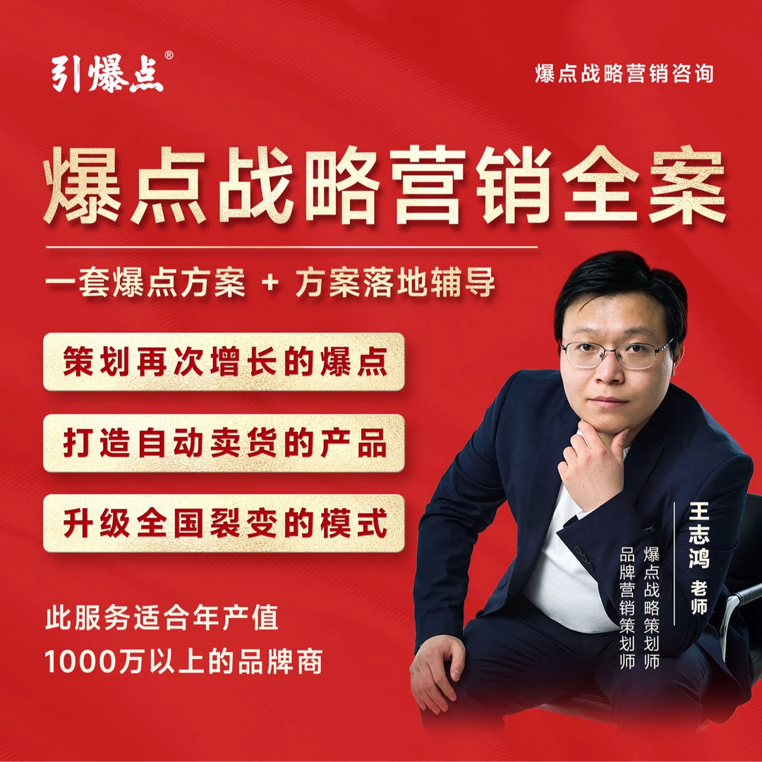 爆点战略营销全案