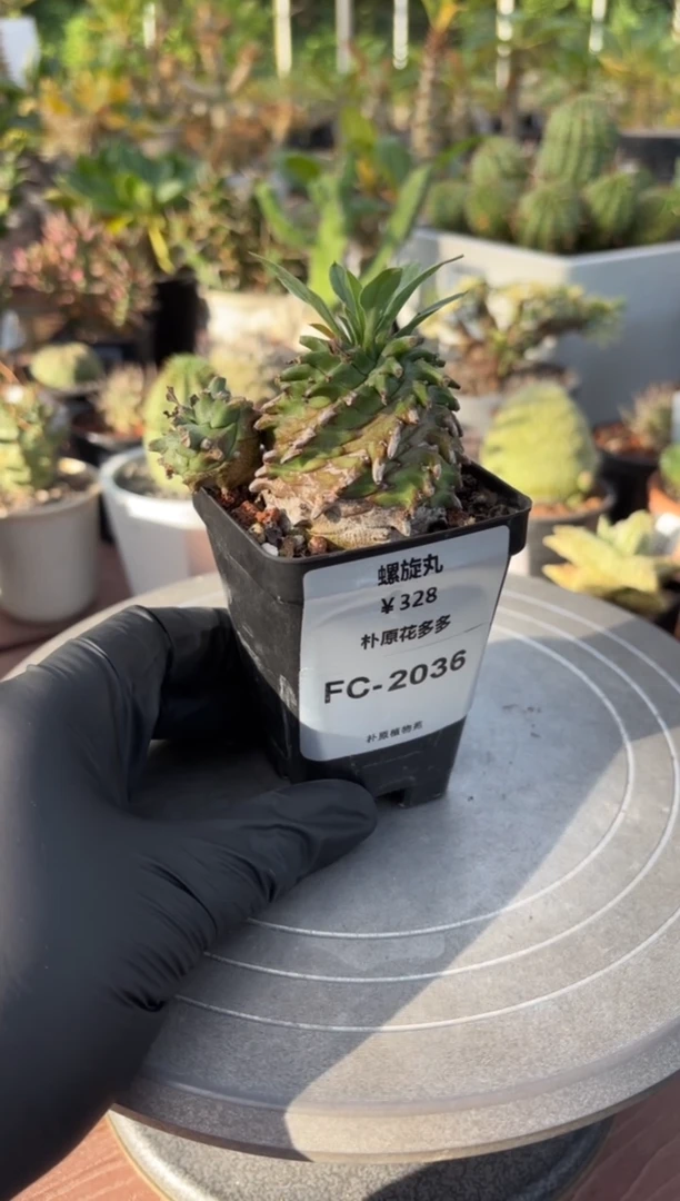 螺旋丸FC-2036