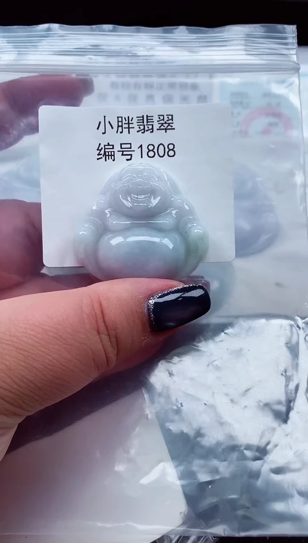 颈饰未镶嵌翡翠缅甸天然A货翡翠1808