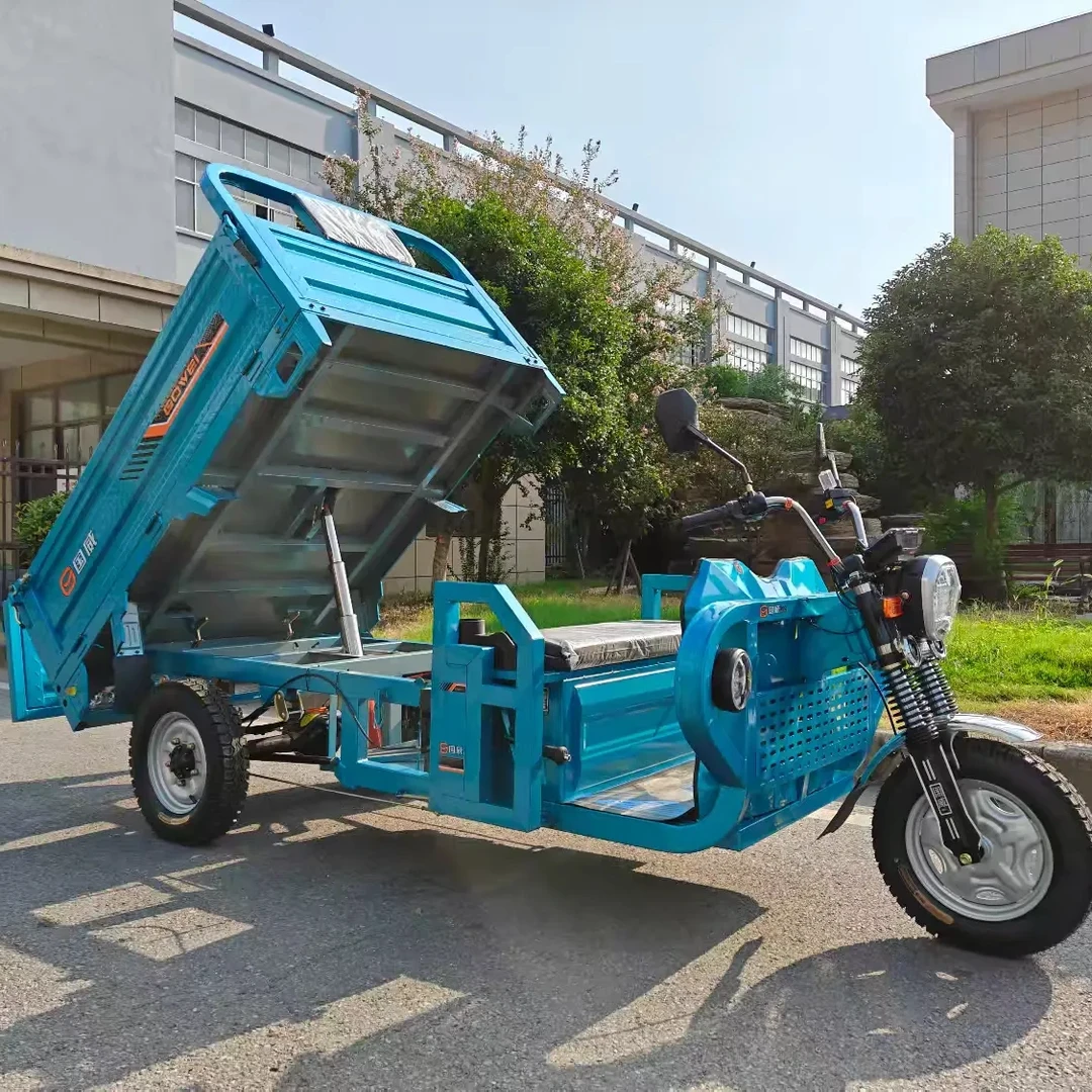 国威1.8米自卸电动三轮车家用摆摊农用爬坡山区拉货大功率载重王