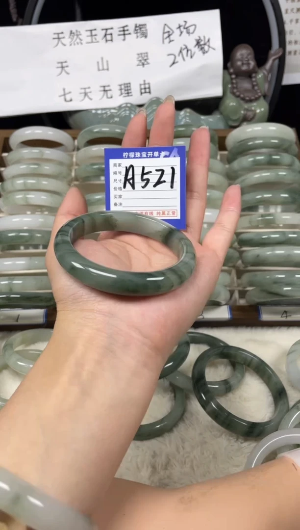 未镶嵌手镯石英质玉（天山翠）a521