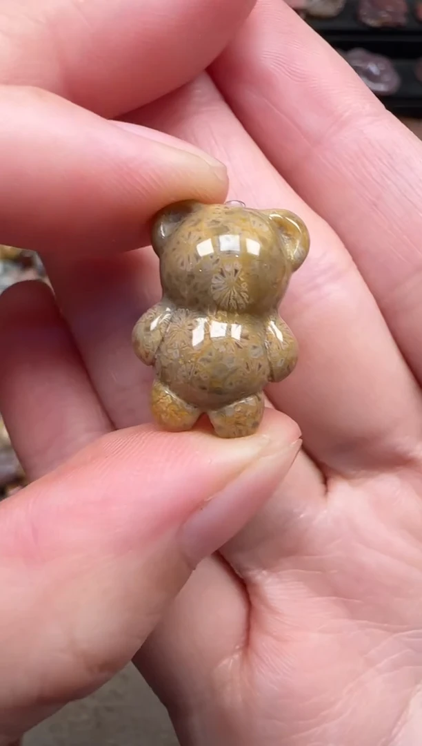 颈饰未镶嵌硅化珊瑚(珊瑚玉)728