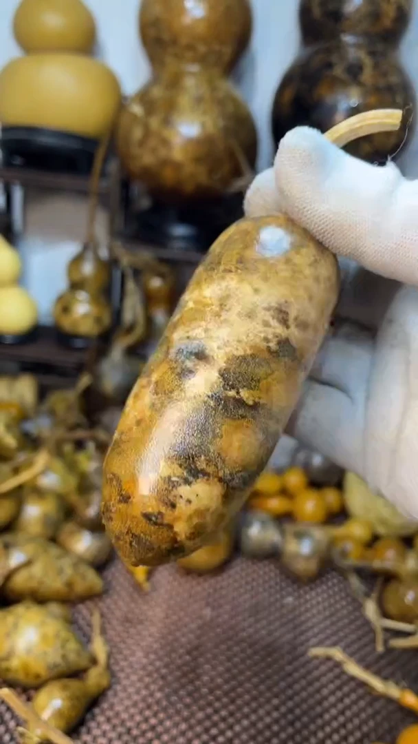 【闪购商品】葫芦葫芦葫芦葫芦