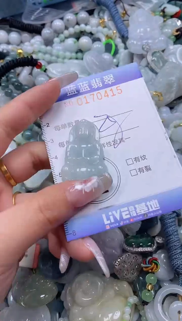 【闪购商品】翡翠颈饰未镶嵌闪购0170415