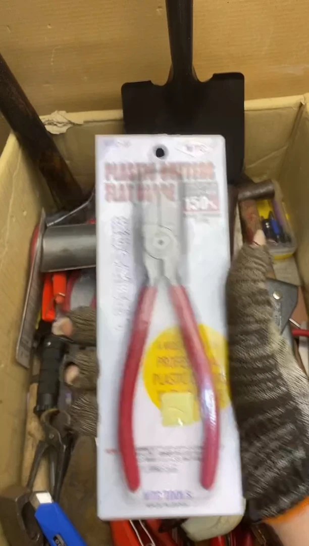 青*五金园艺农具厨具工具闪购