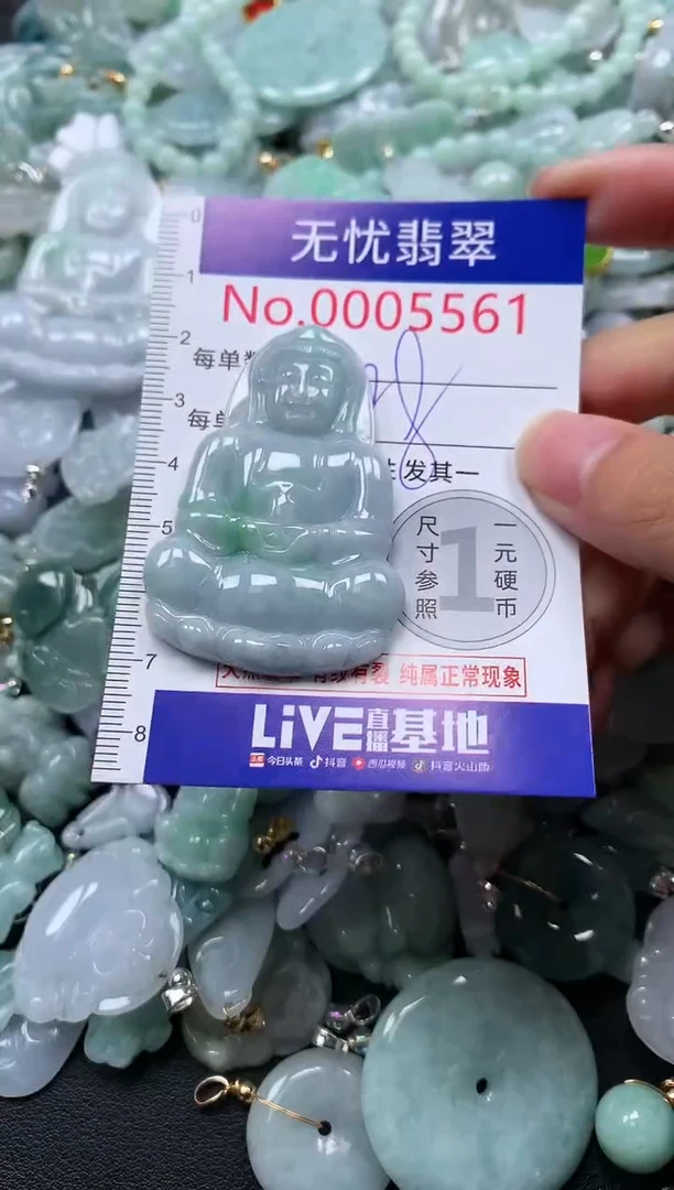 颈饰未镶嵌翡翠5561