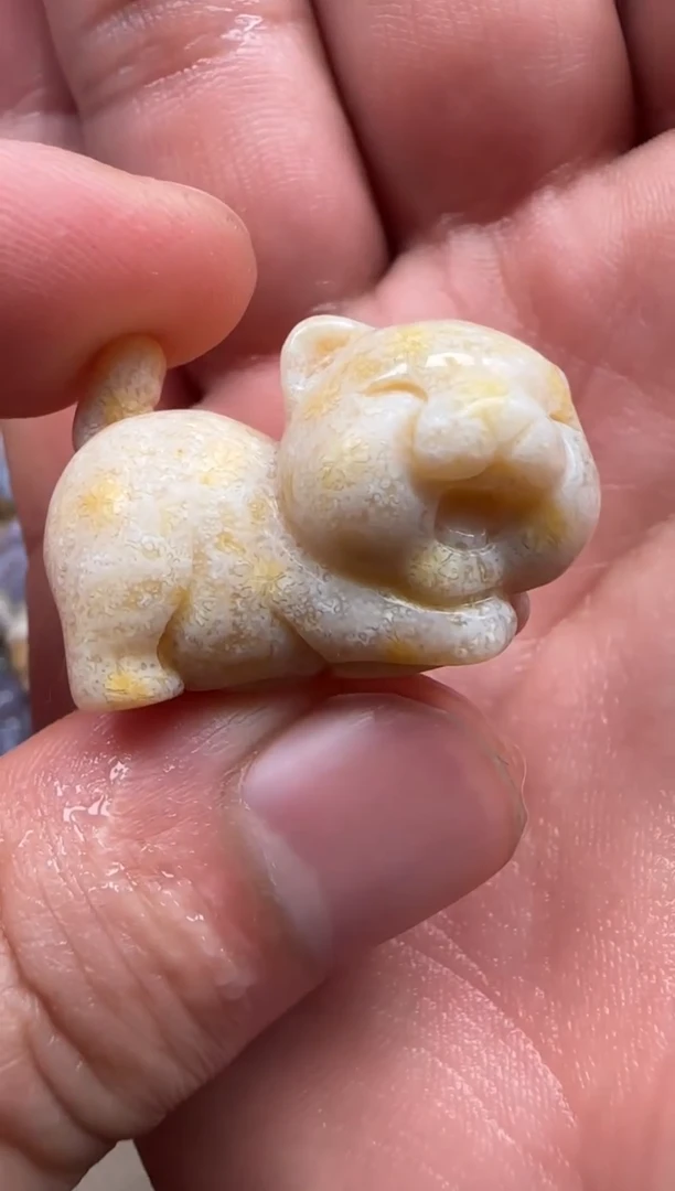 【闪购商品】硅化珊瑚（珊瑚玉）颈饰未镶嵌086