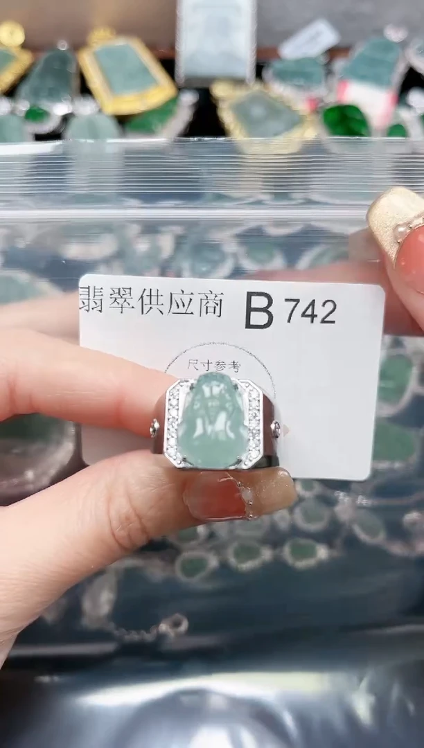 【闪购商品】翡翠颈饰未镶嵌742赠皮绳