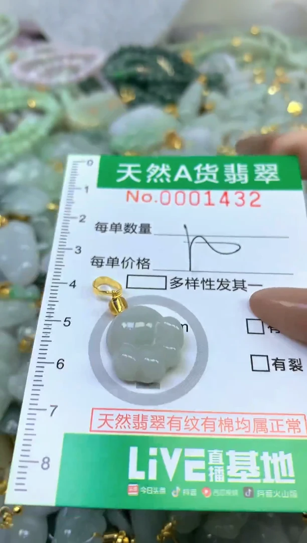 颈饰未镶嵌翡翠未镶嵌纯天然A货翡翠