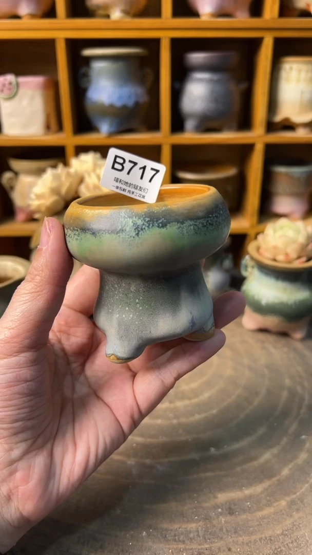 717 内口6【多肉花盆多肉盆】