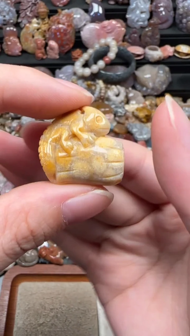 颈饰未镶嵌硅化珊瑚（珊瑚玉）036