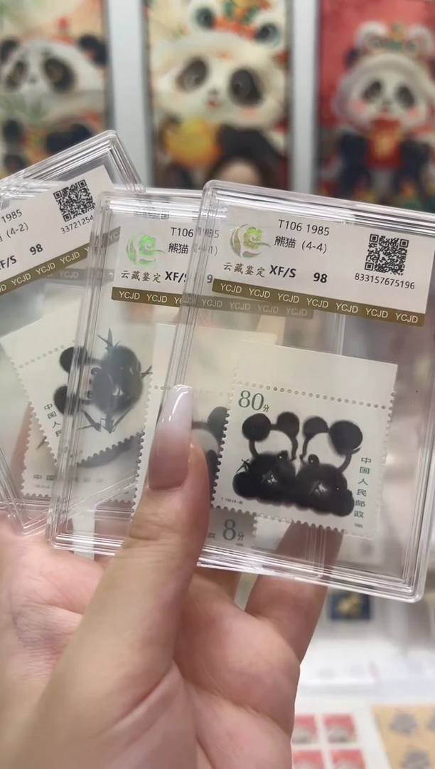 t106 熊猫 带上边 放漏福利