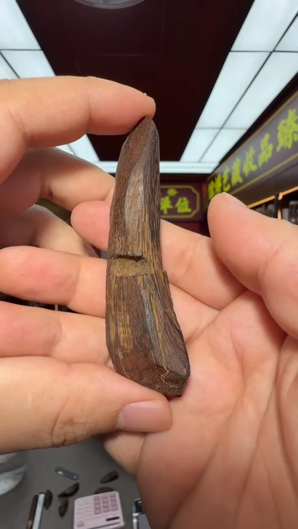 沉香吊坠多样性发一