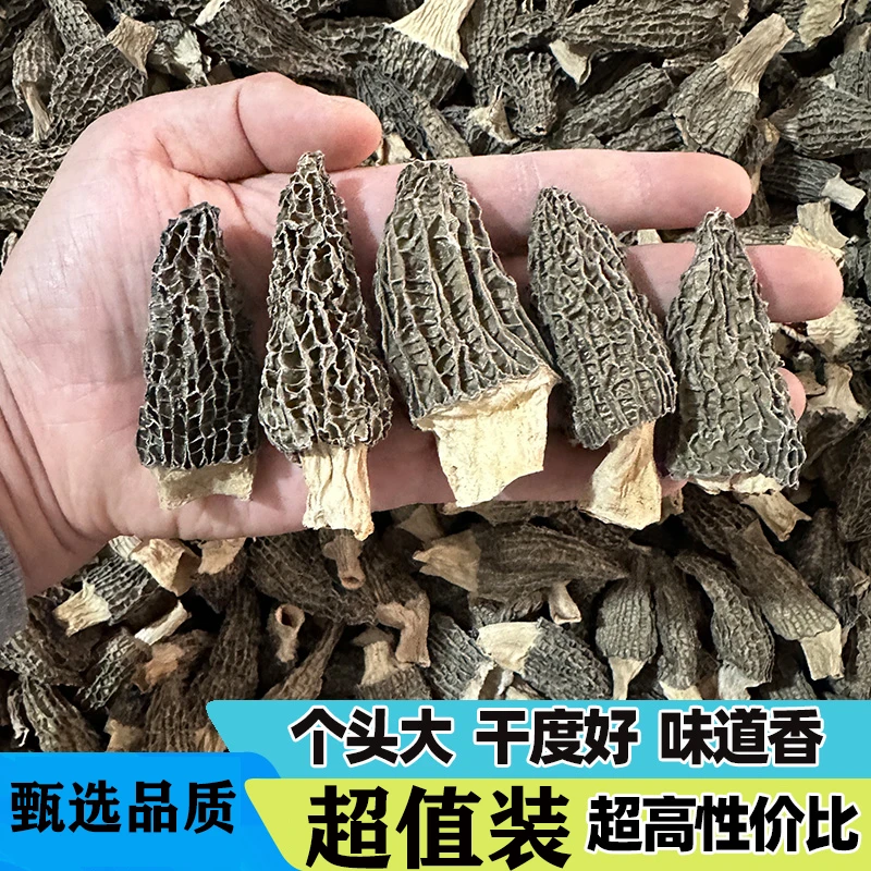 昭化甄选高性价比仿野生种植7妹羊肚菌干货炖汤菌菇家用农家山货