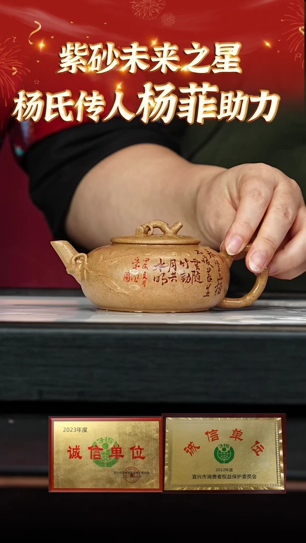 【闪购商品】紫砂茶壶54 杨菲老师专场  老宕黄金段