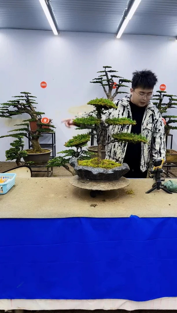 完全开放一物一拍，所见即所得