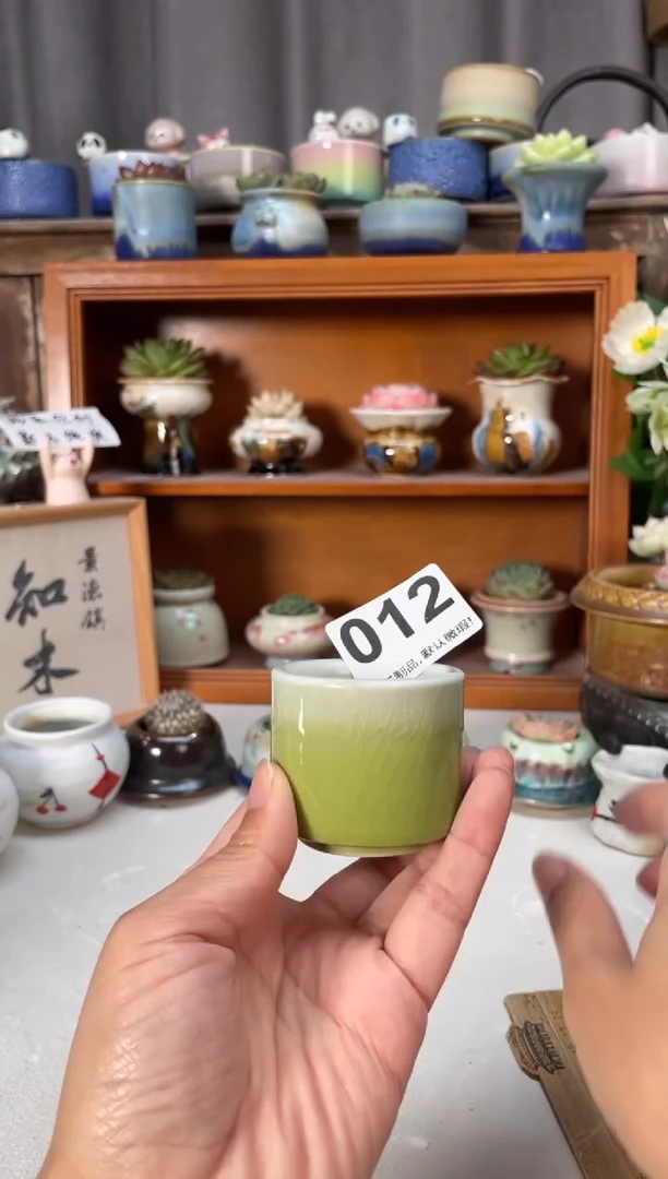 瓷片012小芳直播编号