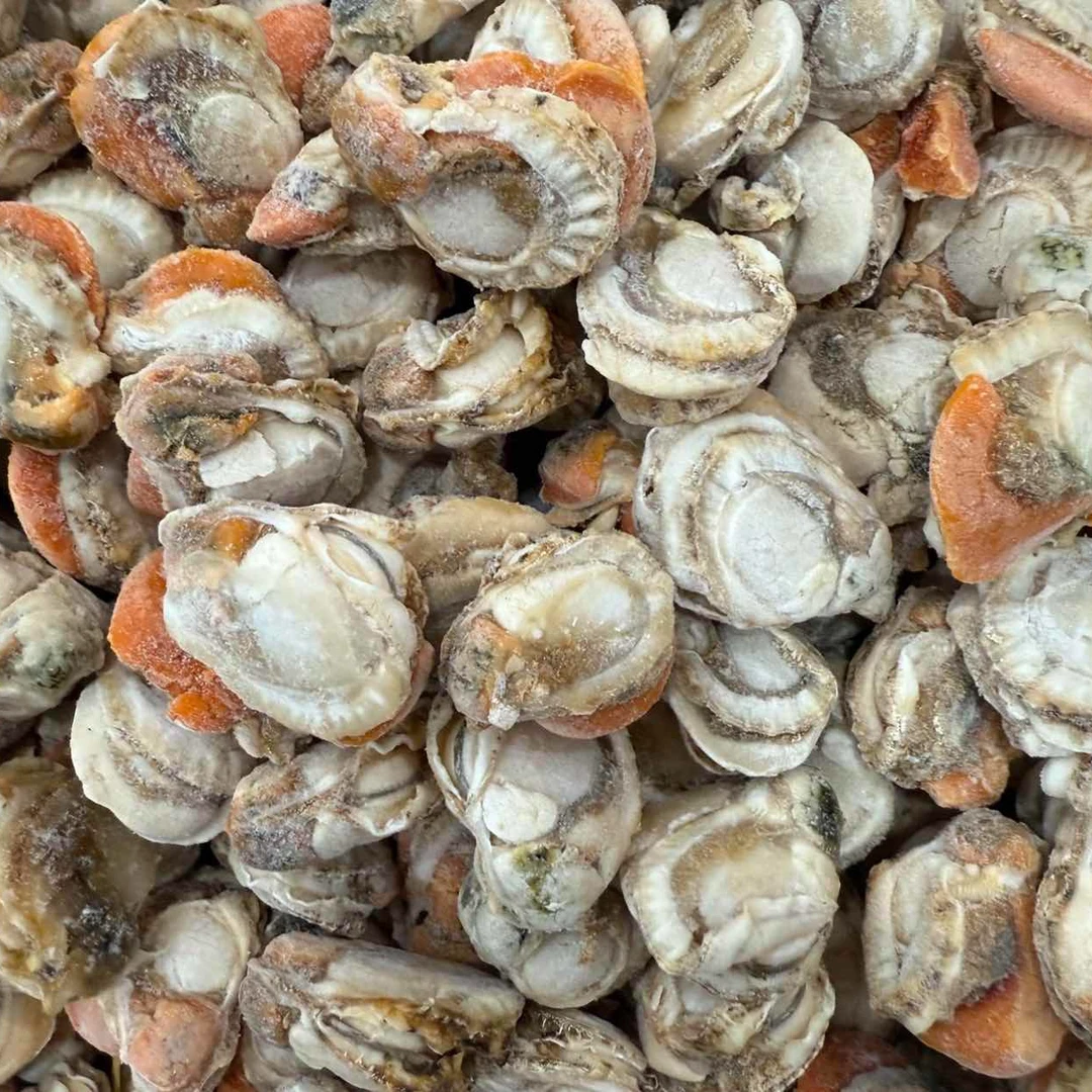 扇贝肉 鲜冻 次日达 顺丰快递 厦门发货 250g/盒