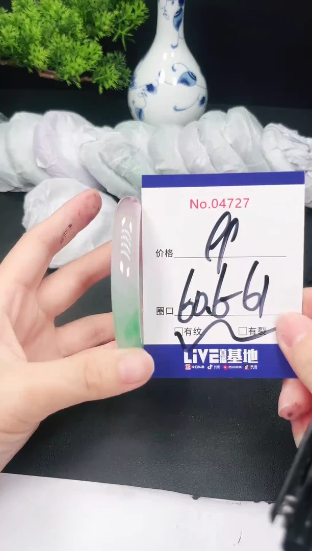 未镶嵌手镯翡翠4727