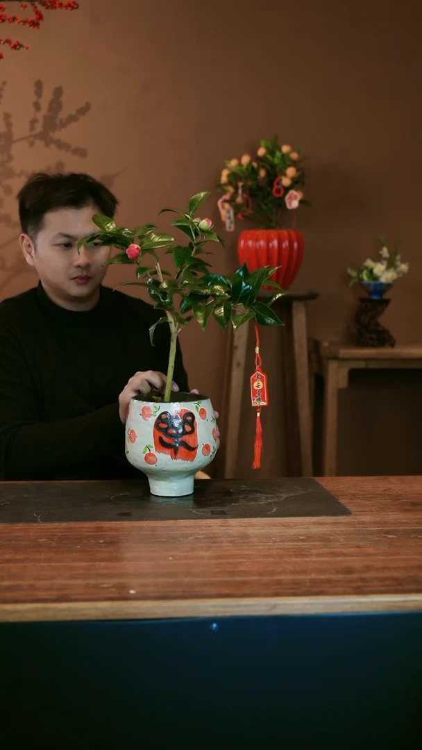 【闪购商品】盆景小红花