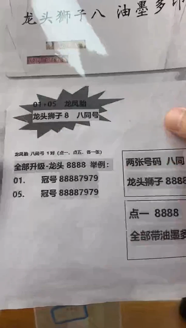 【龙头狮子八】通天副品 龙凤胎 对张