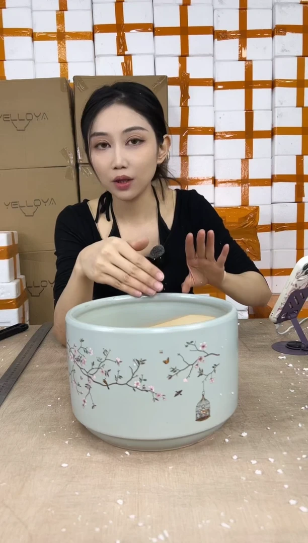 蝴蝶兰鸟笼蓝色中号21x15