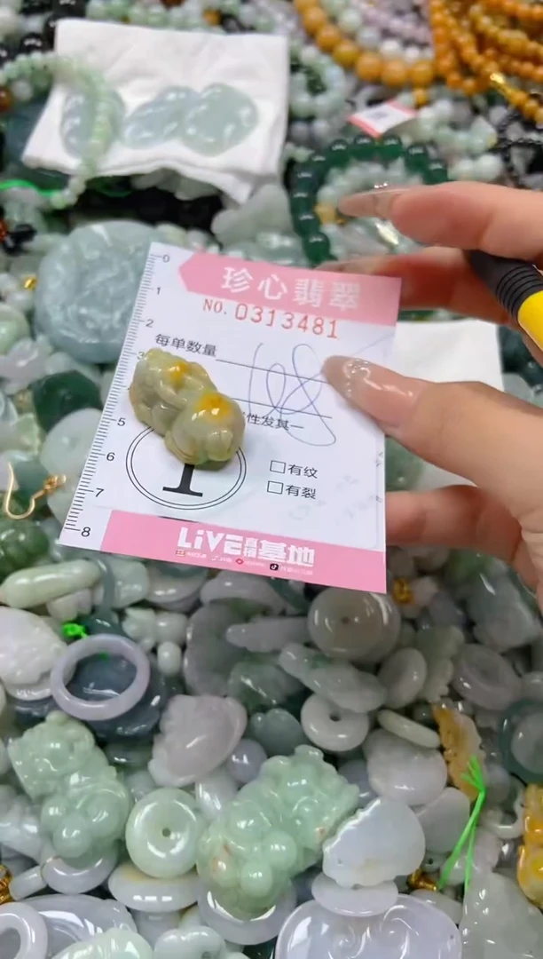 翡翠未镶嵌颈饰闪购0313481