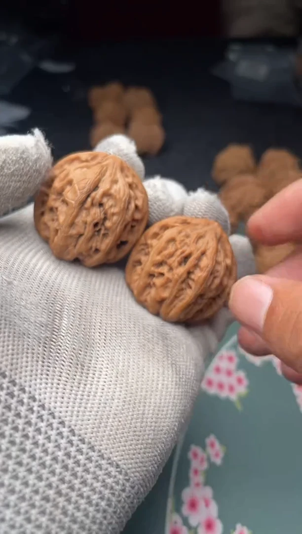 核桃a141    九龙 34尺