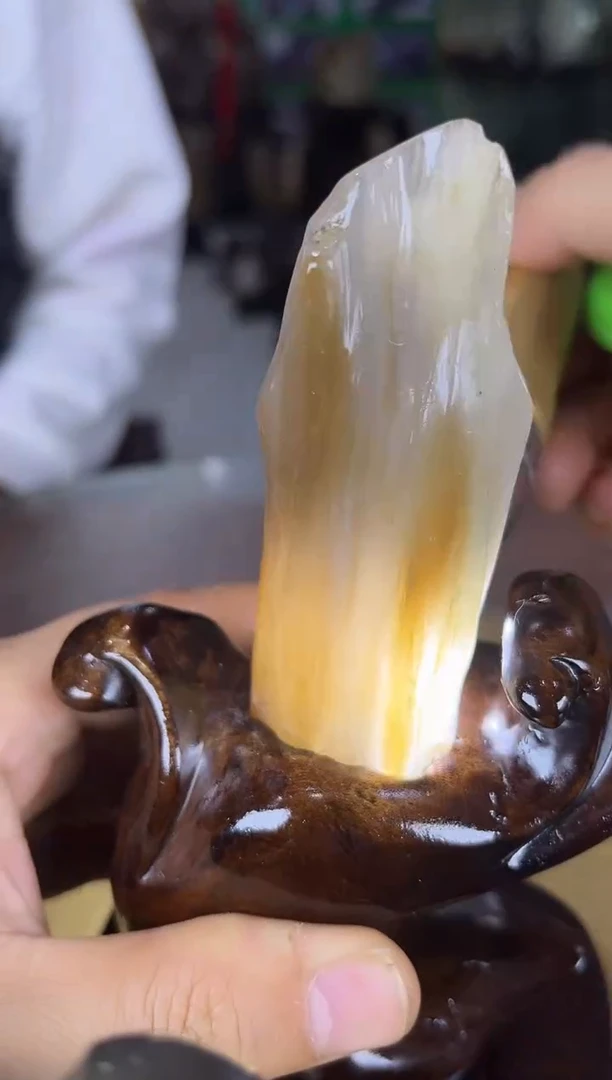 未镶嵌珠宝奇石硅化玉缅甸天然树化玉摆件