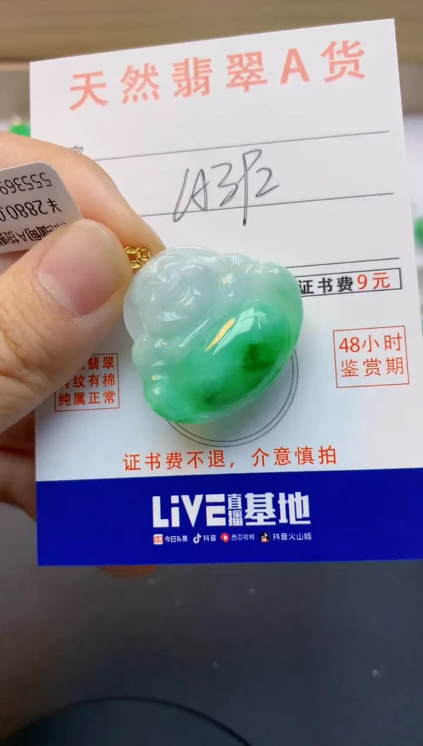 颈饰18K金镶嵌翡翠天然缅甸A货翡翠百元以上9元证书费自理