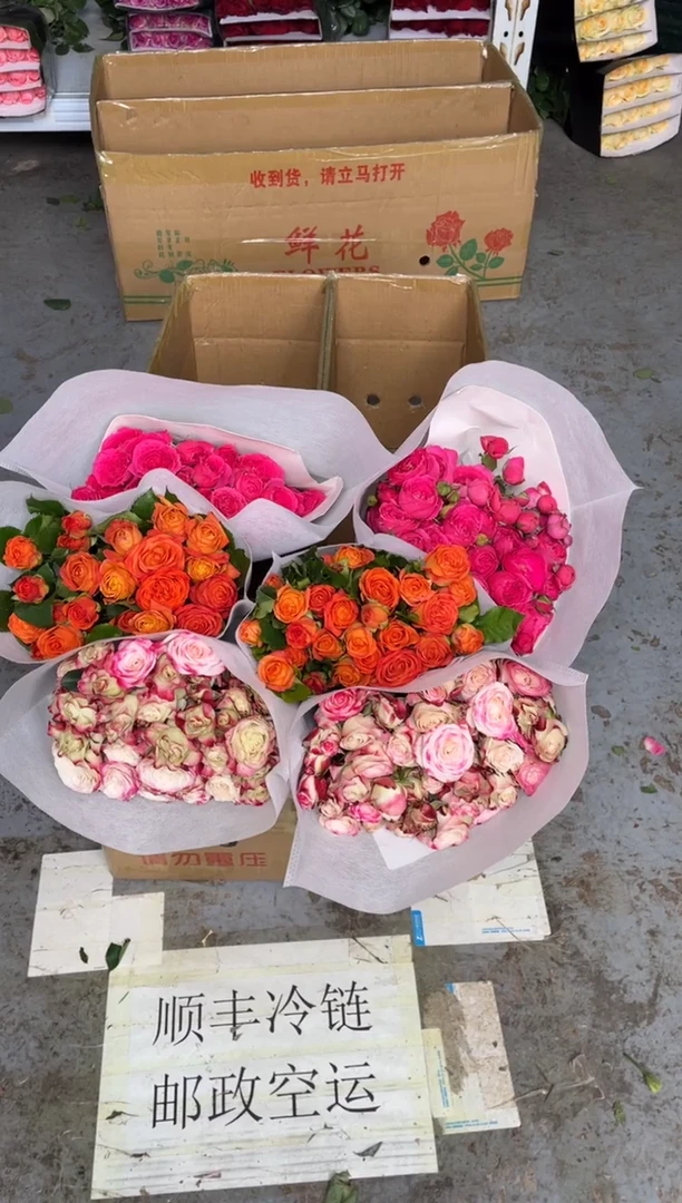 折射10枝+橙色芭比10枝+苏菲10枝