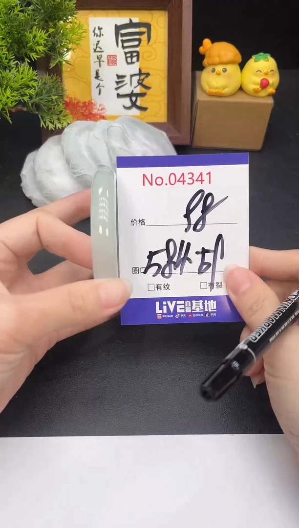 未镶嵌手镯翡翠4341