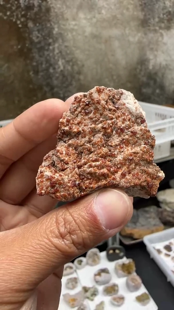 【闪购商品】昌化石印石原石料