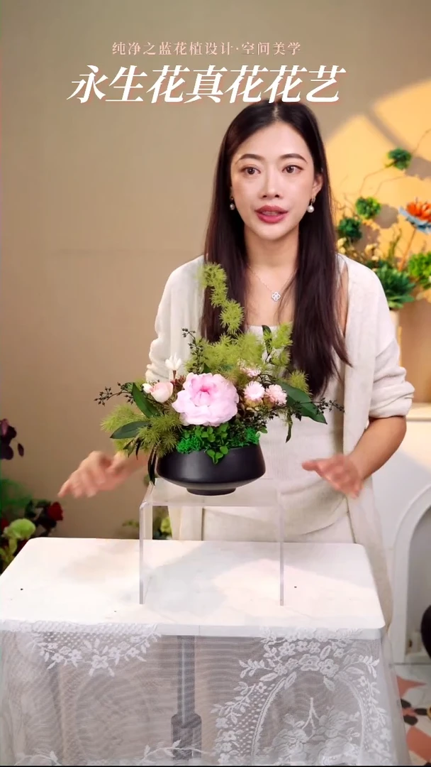 山茶所见即所得套装