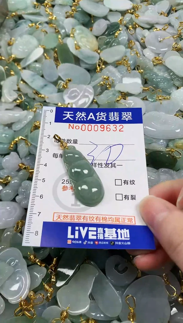 颈饰未镶嵌翡翠纯天然a货翡翠