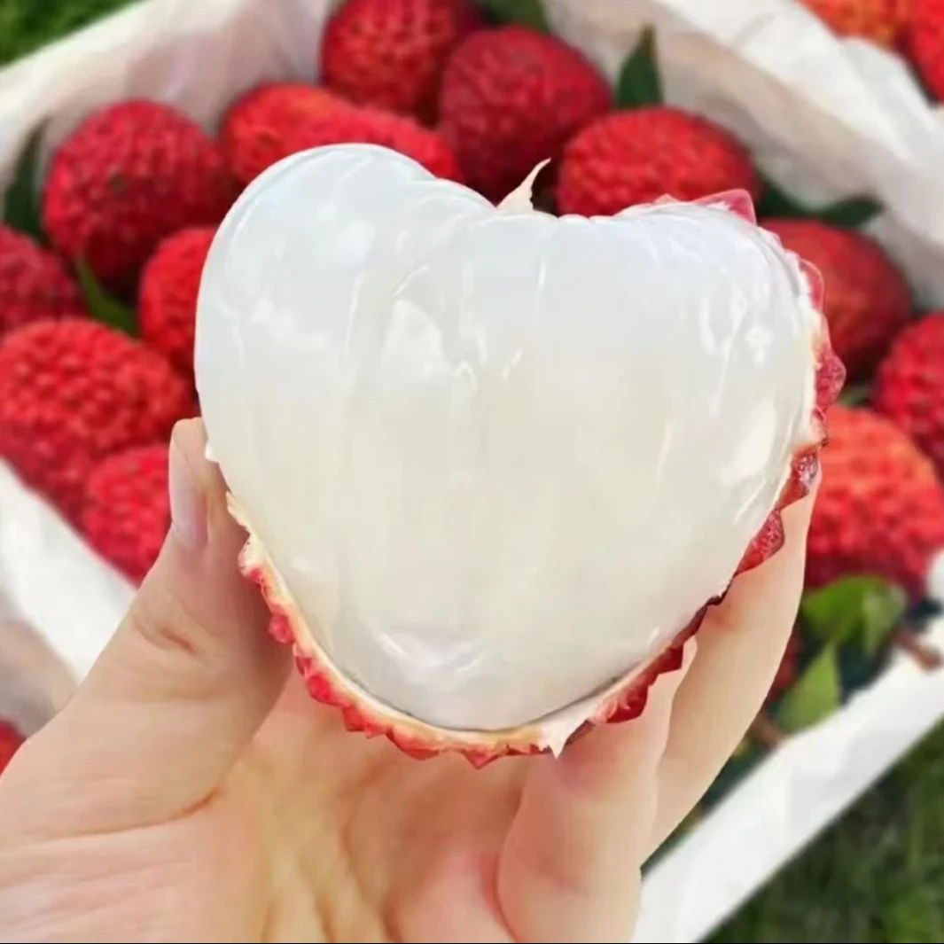 【果王空运 现货】正宗海南永兴火山口荔枝王新鲜荔枝应季水果礼盒