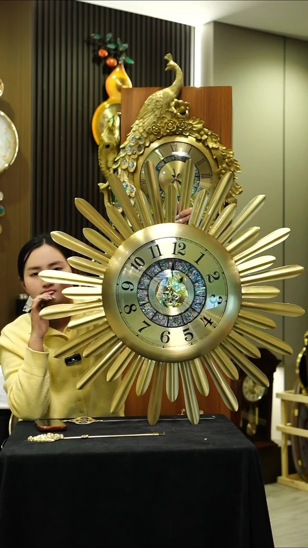 壁挂款星**闪00000000000000000