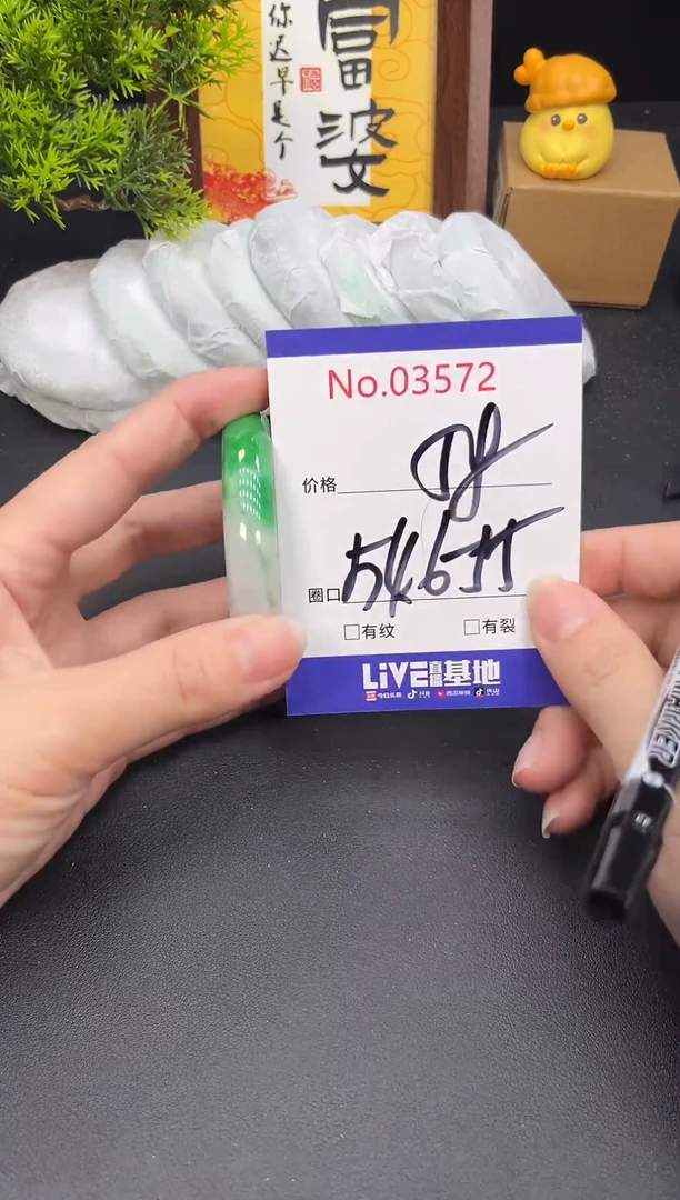 未镶嵌手镯翡翠3572