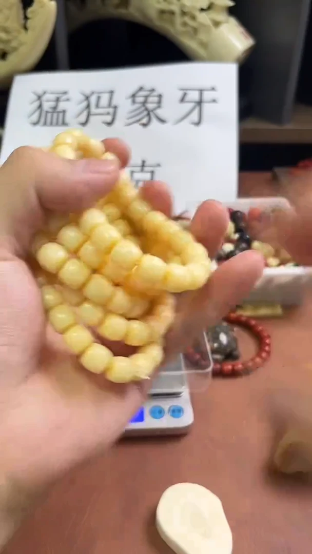 猛犸香香10*9直切单圈